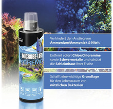 Microbe Lift Xtreme Wasseraufbereiter in einer Flasche