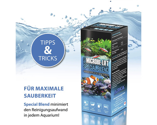 Microbe Lift Special Blend Wasserpflege Bakterien Produktverpackung