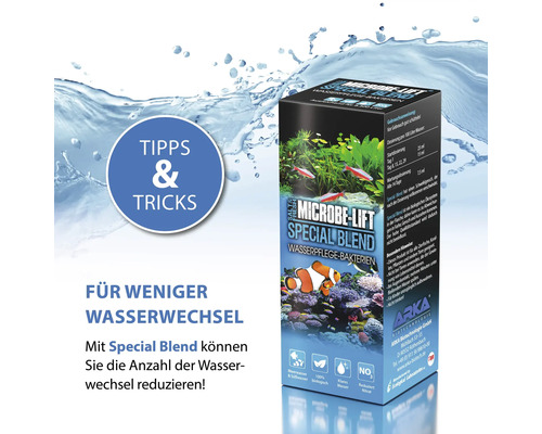 Microbe Lift Special Blend Wasserpflege Bakterien Produktverpackung