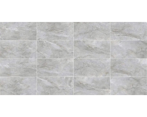 Carreaux rectangulaires aspect marbre