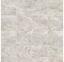 Carreaux avec structure de marbre