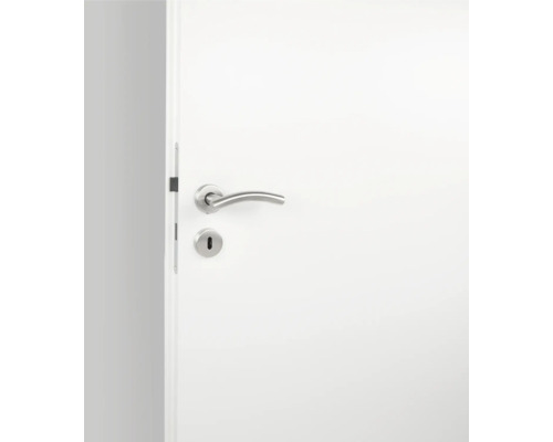 Nahaufnahme einer Innentür mit Türgriff und Schloss