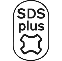 SDS Plus Kennzeichnung