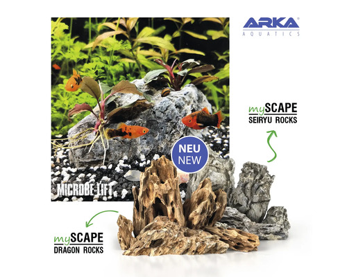 Aquarium mit Pflanzen, Fischen und Dekorationselementen wie Drachen- und Seiryu-Steinen