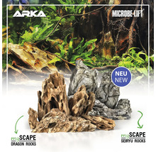 Aquariendekoration mit Drachensteinen und Seiryusteinen