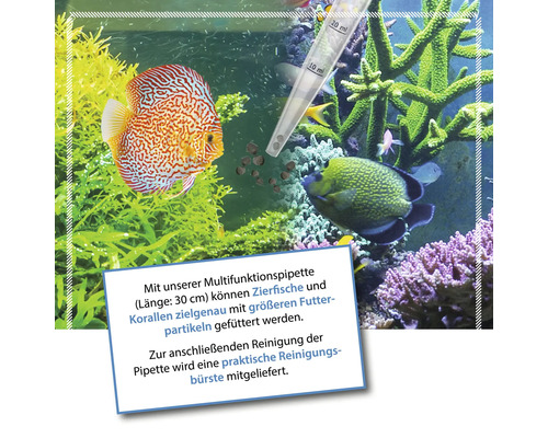 Aquarium mit Zierfischen, Korallen und einer Pipette zur gezielten Fütterung