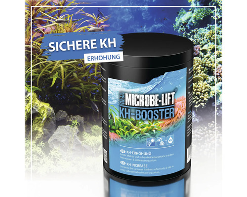 Microbe Lift KH Booster zur Erhöhung der Karbonathärte im Aquarium