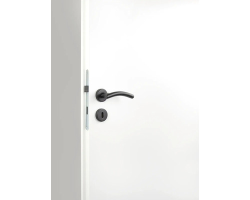 Weisse Innentür mit schwarzer Türklinke und Schloss