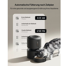 Automatischer Futterautomat mit Zeitplan und Katze beim Fressen
