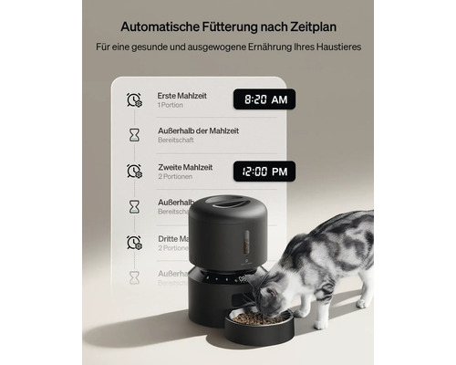 Automatischer Futterautomat mit Zeitplan und Katze beim Fressen