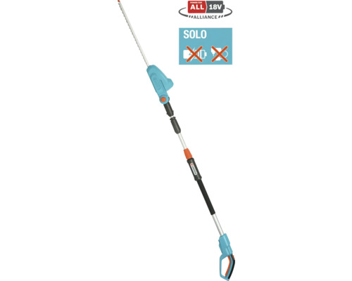 Taille-haies à perche sans fil, sans batterie ni chargeur