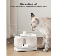 Katze trinkt aus einem kabellosen Trinkbrunnen für Haustiere