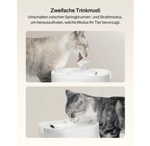 Zwei Katzen trinken aus einem weißen Trinkbrunnen mit zwei verschiedenen Trinkmodi.