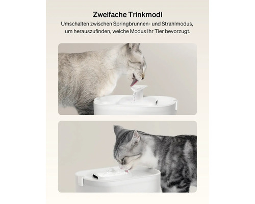 Zwei Katzen trinken aus einem weißen Trinkbrunnen mit zwei verschiedenen Trinkmodi.