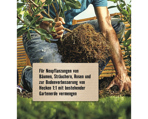 Eine Person pflanzt einen Baum oder Strauch im Garten.