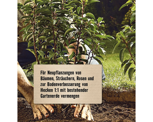 Pflanzung von Bäumen, Sträuchern, Rosen und Bodenverbesserung von Hecken