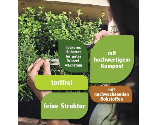 Pflanzenszene mit Informationen zu Substrat, Kompost, Torffreiheit, Struktur und nachwachsenden Rohstoffen