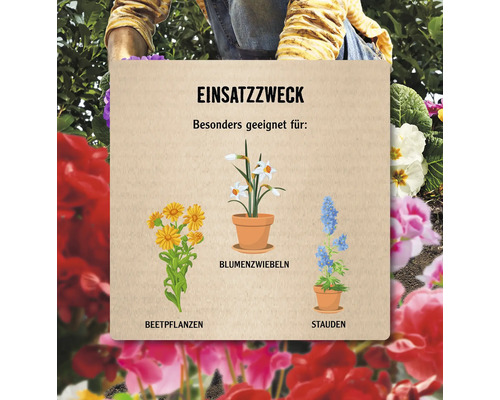 Illustration mit Informationen zur Verwendung von Beetpflanzen, Blumenzwiebeln und Stauden.
