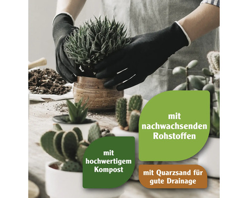 Person pflanzt Sukkulente in Topf mit Erde, die aus nachwachsenden Rohstoffen besteht, hochwertigen Kompost und Quarzsand für gute Drainage enthält.