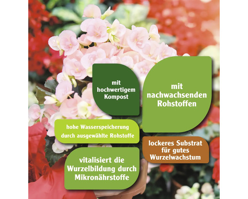 Informationen zu Blumenerde mit hochwertigem Kompost, nachwachsenden Rohstoffen, hoher Wasserspeicherung, Vitalisierung der Wurzelbildung und lockerem Substrat