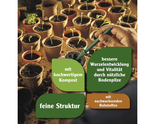 Anzuchttöpfe mit Erde und Keimlingen, Eigenschaften hervorgehoben
