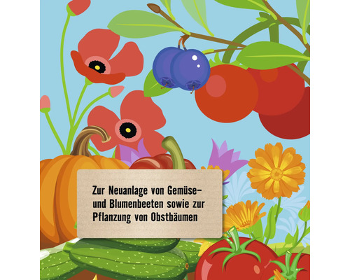 Illustration von Gemüse und Blumen zur Neuanlage von Gemüse- und Blumenbeeten sowie zur Pflanzung von Obstbäumen