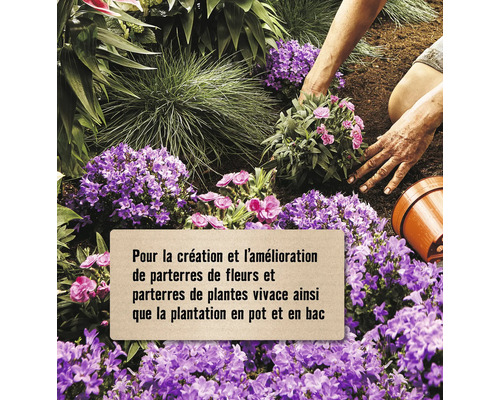 Création et amélioration de parterres de fleurs et parterres de plantes vivaces ainsi que la plantation en pot et en bac