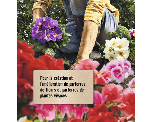 Une personne plante des fleurs dans un parterre de jardin.