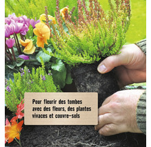 Scène avec des fleurs, des plantes vivaces et des couvre-sols pour fleurir les tombes.