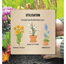 Illustration de l''utilisation de plantes de massifs, de bulbes à fleurs et d''arbustes