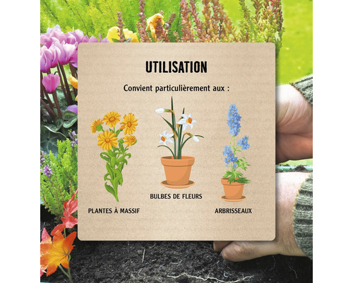 Illustration de l''utilisation de plantes de massifs, de bulbes à fleurs et d''arbustes