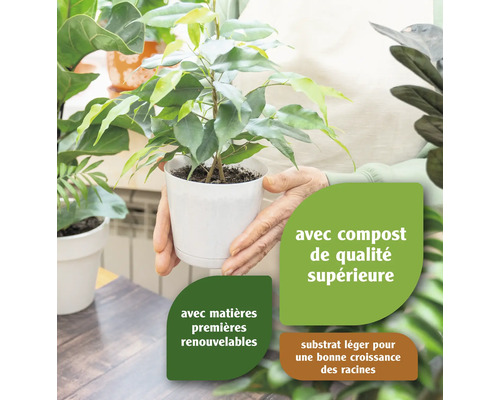 Plante d''intérieur en pot blanc, tenue par des mains, avec des indications sur un terreau de qualité supérieure et des matières premières renouvelables.