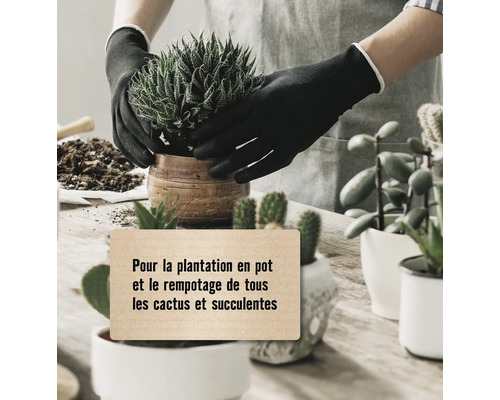 Une personne plante un cactus dans un pot avec des gants de jardinage