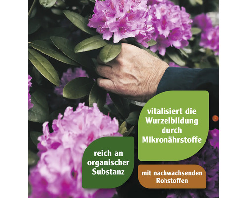 Hand an einer Rhododendronblüte, Hinweise auf organische Substanz, Mikronährstoffe und nachwachsende Rohstoffe.