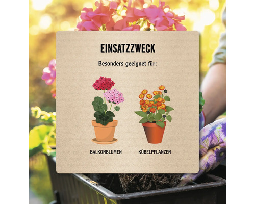 Informationen zur Verwendung von Balkon- und Kübelpflanzen