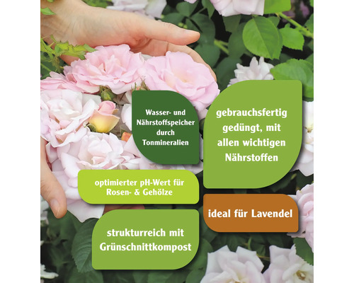 Informationen zu Wasserspeicher, Nährstoffen, optimiertem pH-Wert und Kompost für Rosen und Lavendel