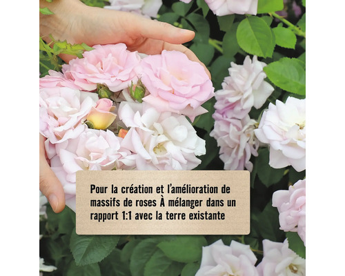 Pour la création et l''amélioration de massifs de roses, à mélanger dans un rapport 1:1 avec la terre existante