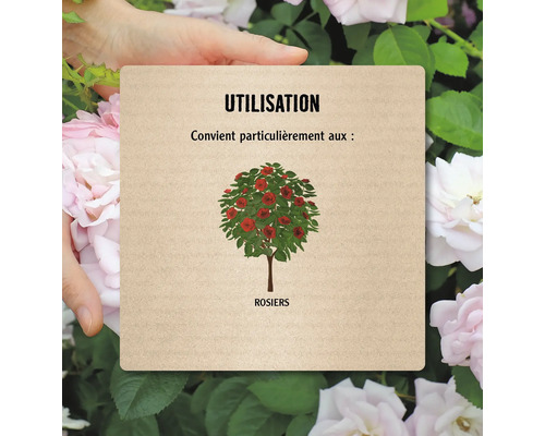 Instructions d''utilisation pour les rosiers