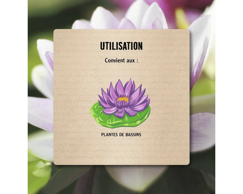 Informations sur l''utilisation des plantes de bassin