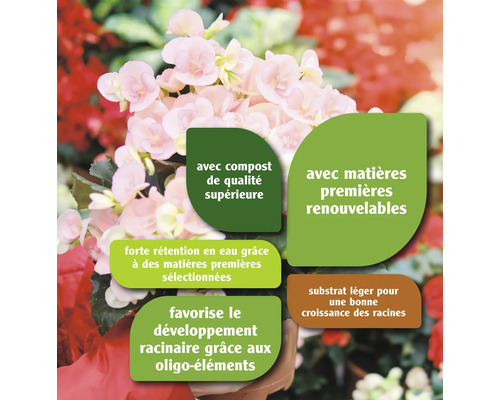 Terreau avec compost de qualité supérieure et matières premières renouvelables pour un bon développement des racines