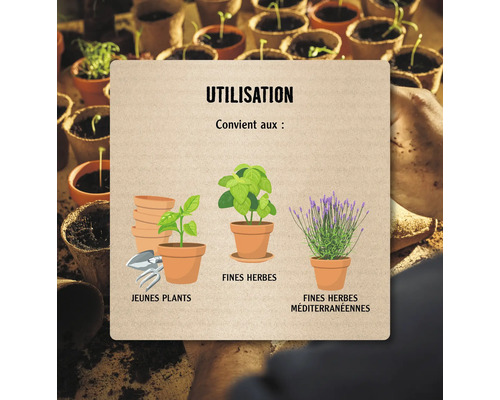 Représentation de diverses utilisations : Jeunes plants, herbes aromatiques et herbes aromatiques méditerranéennes en pots.