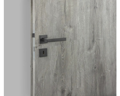 Graue Holztür mit schwarzem Türdrücker
