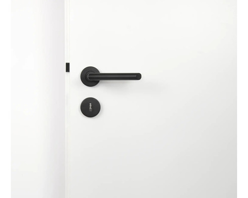 Türbeschlag mit Drückergarnitur und Schlüsselrosette an einer Tür