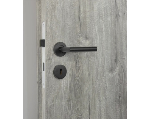 Schlichte Innentür mit schwarzer Türklinke und Schloss