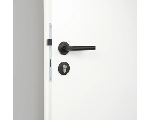 Tür mit schwarzem Türdrücker und Schloss