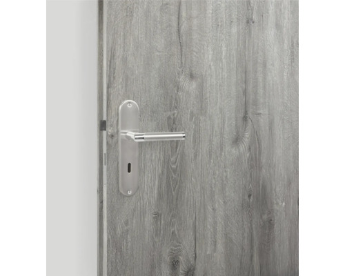 Porte en bois avec poignée de porte argentée