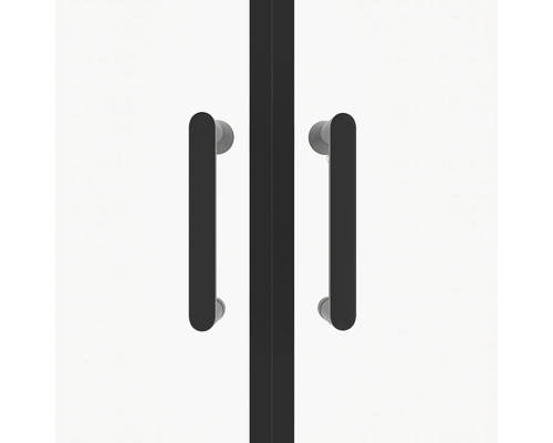 Duschtür mit zwei Griffen