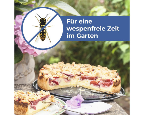 Szene im Garten mit Pflaumenkuchen und Symbol für wespenfreie Zeit.
