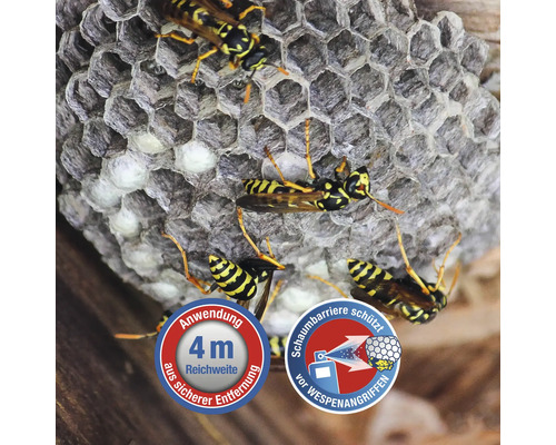 Wespennest mit Wespen und Symbolen zur Anwendung und Schutz vor Wespenangriffen