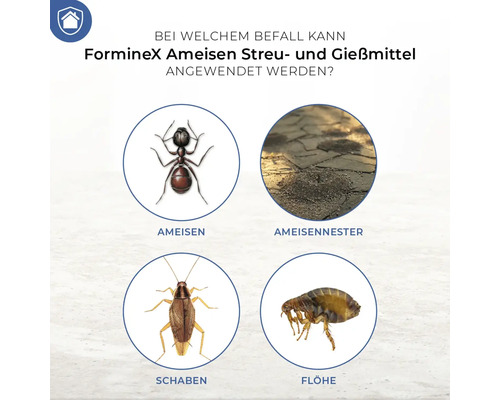 Anwendungsbereiche von Forminex Ameisen Streu- und Gießmittel: Ameisen, Ameisennester, Schaben, Flöhe.